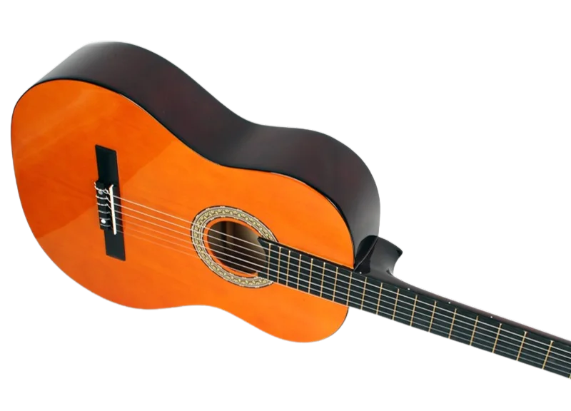 Guitar Leonidas