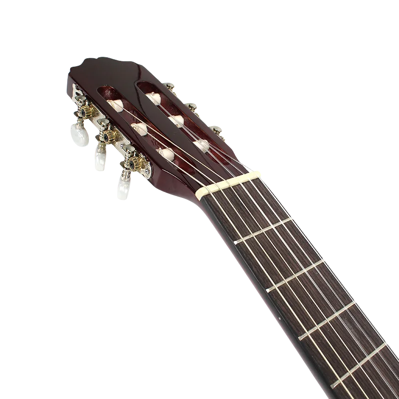 Guitar Leonidas