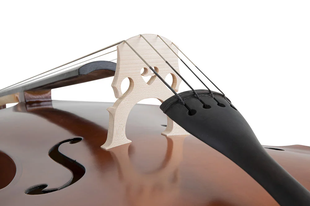 Kontrabass Basic Line Laminierte