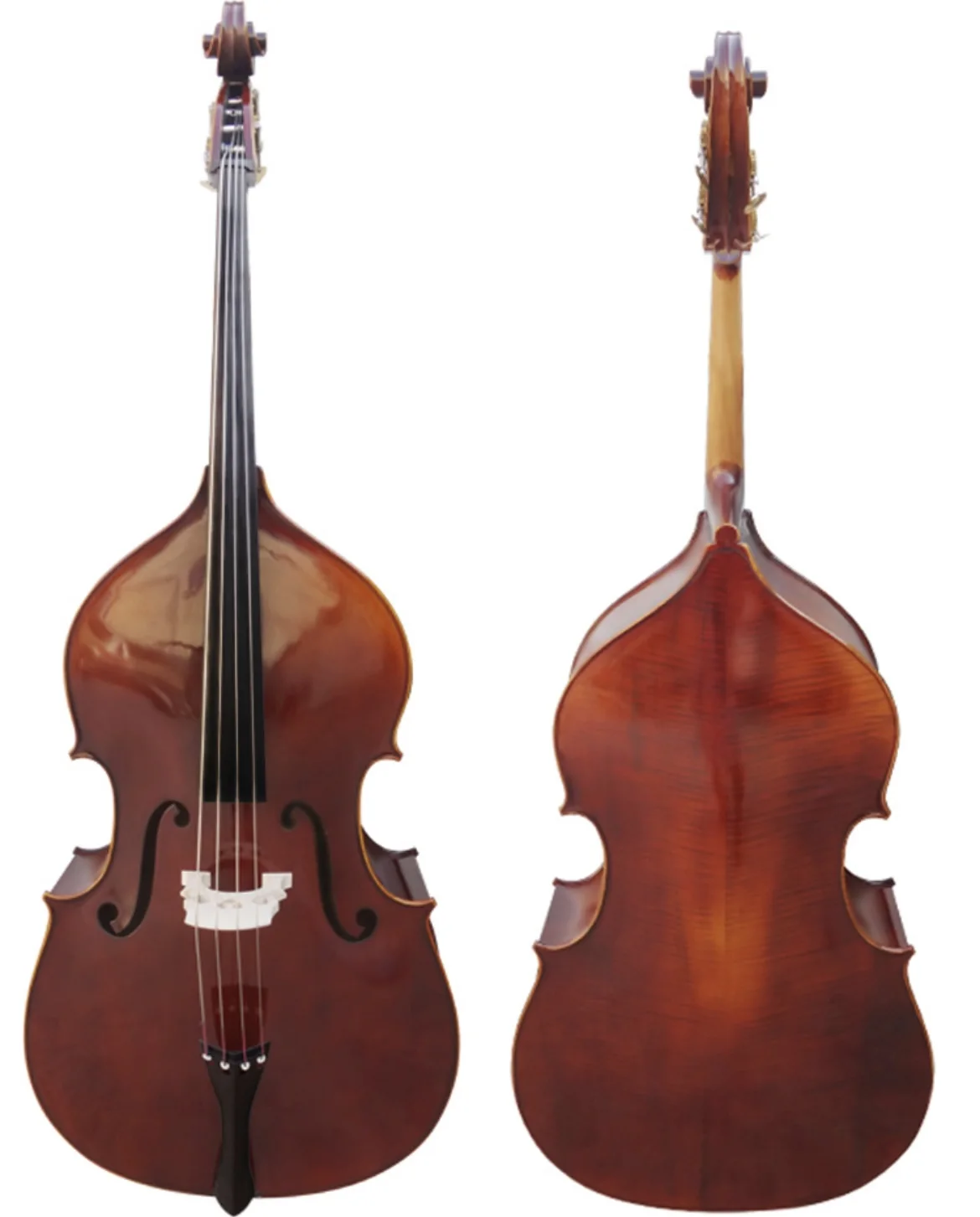 Kontrabass Professionelles