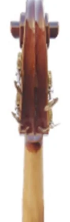 Kontrabass Professionelles