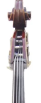 Kontrabass Professionelles