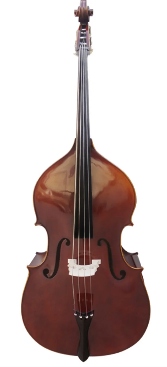 Kontrabass Professionelles