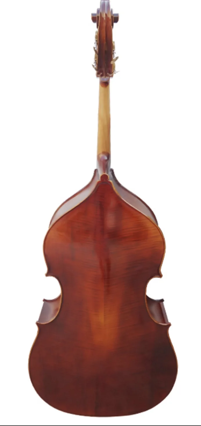 Kontrabass Professionelles