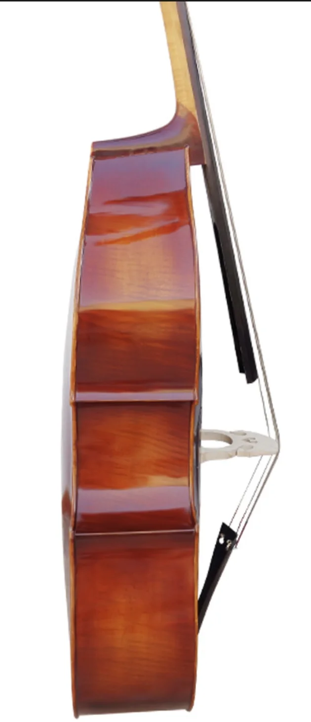 Kontrabass Professionelles