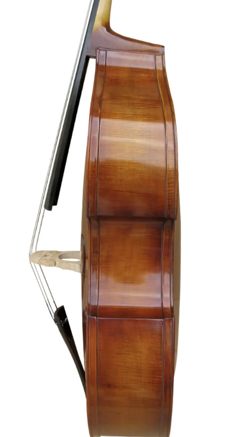 Kontrabass Venice