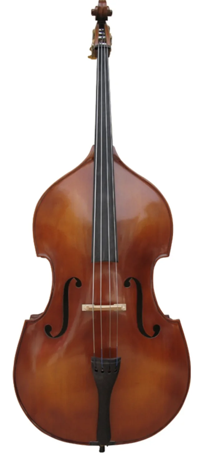 Kontrabass Venice