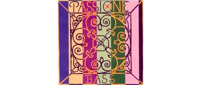 Passione Saiten für Bass