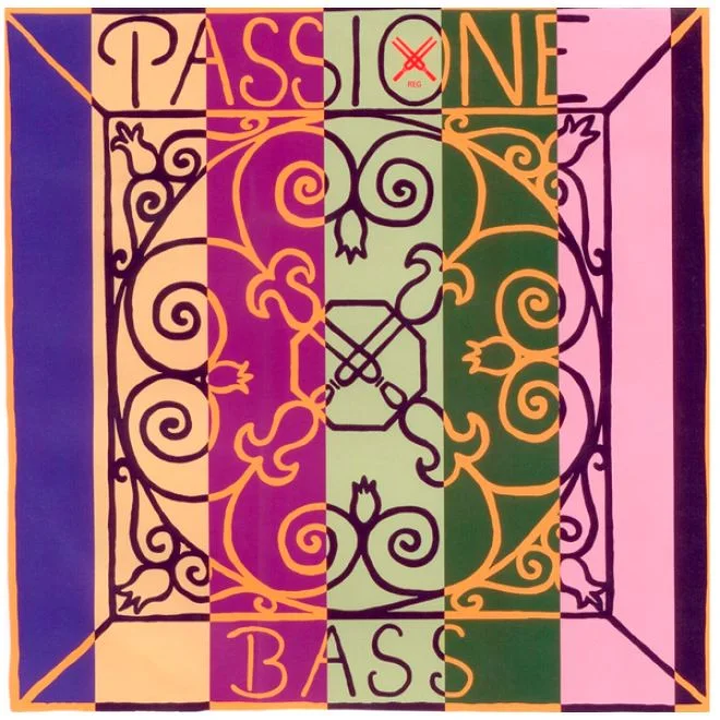 Passione Saite für Violine