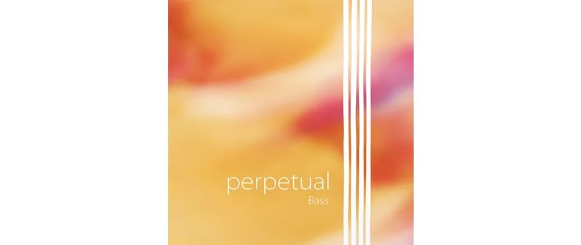 Perpetual Saiten für Bass