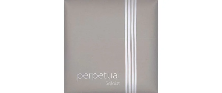 Perpetual Soloist Saiten für Cello