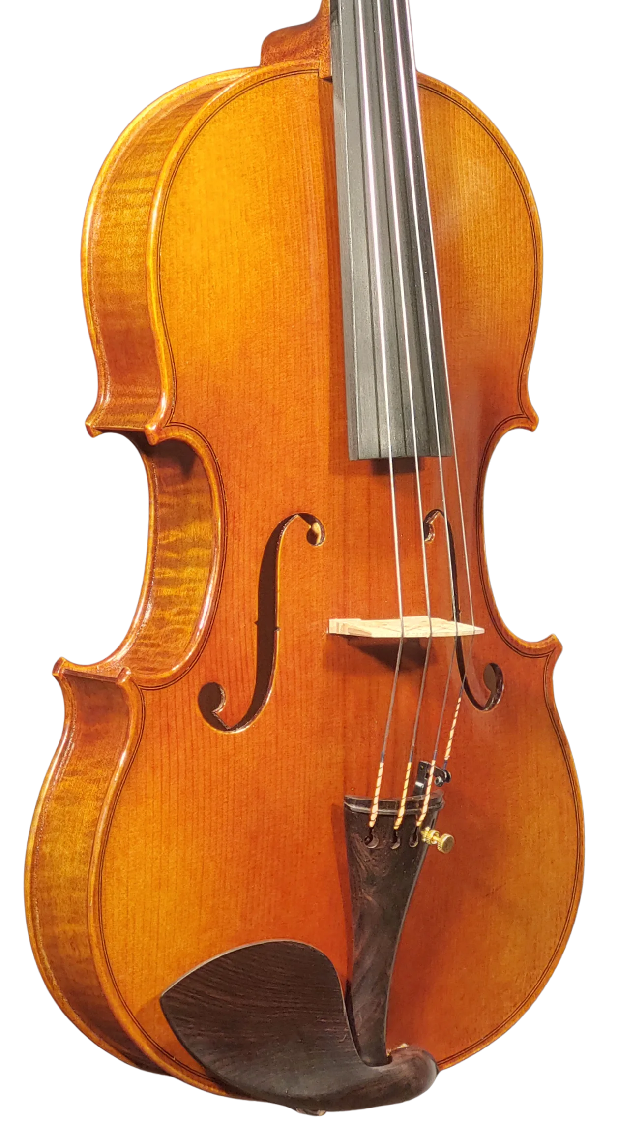 Viola 01