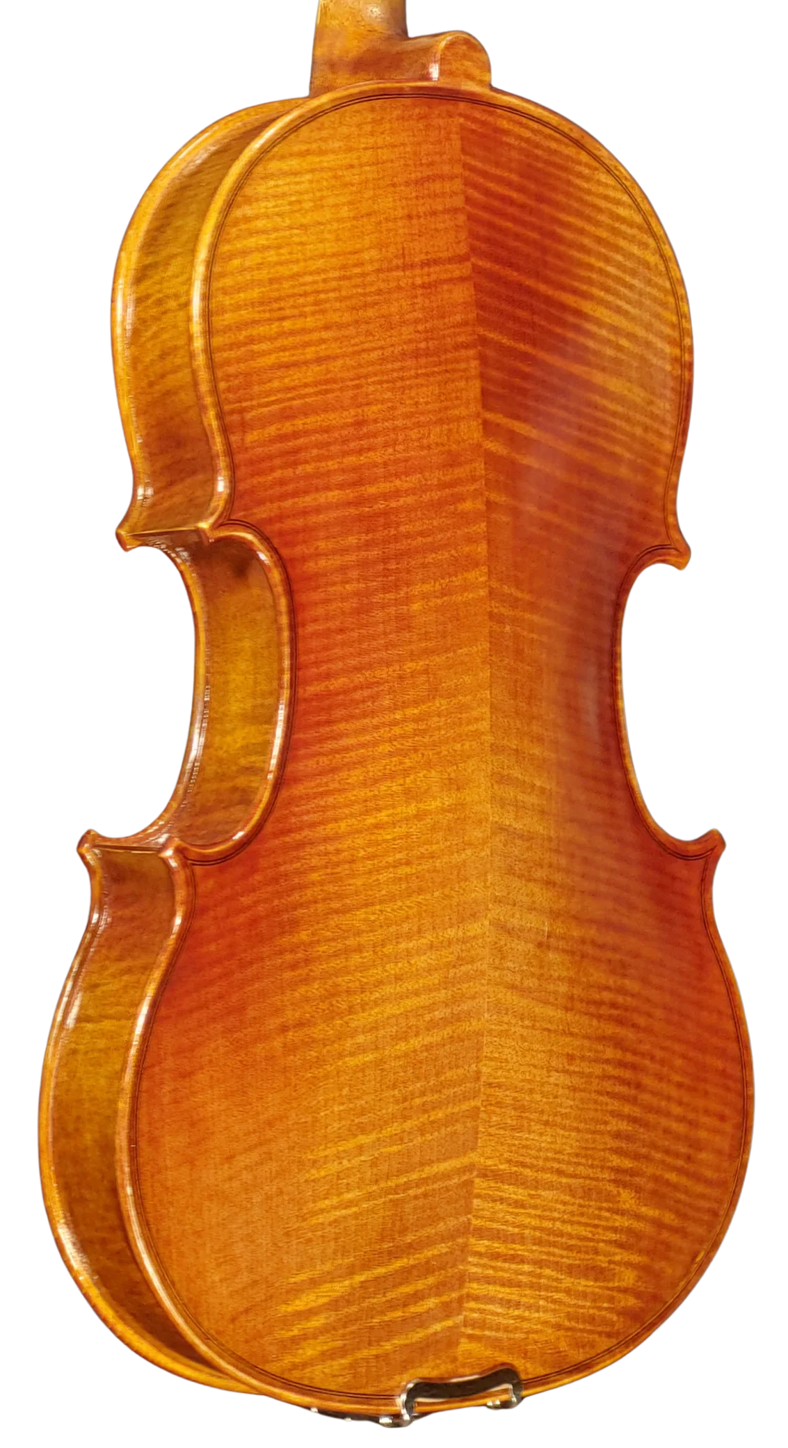 Viola 01