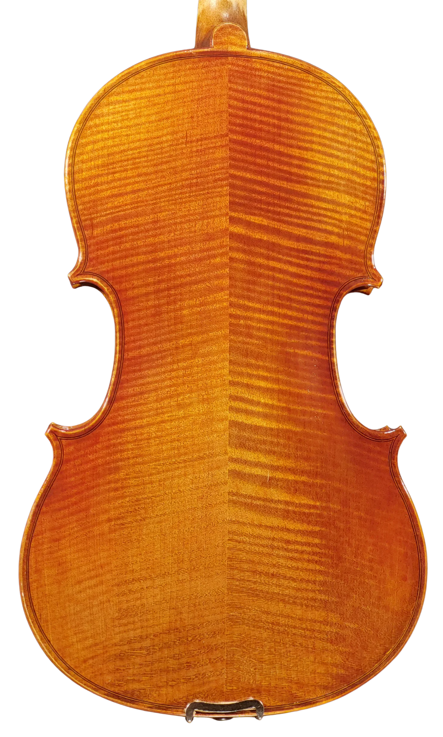 Viola 01