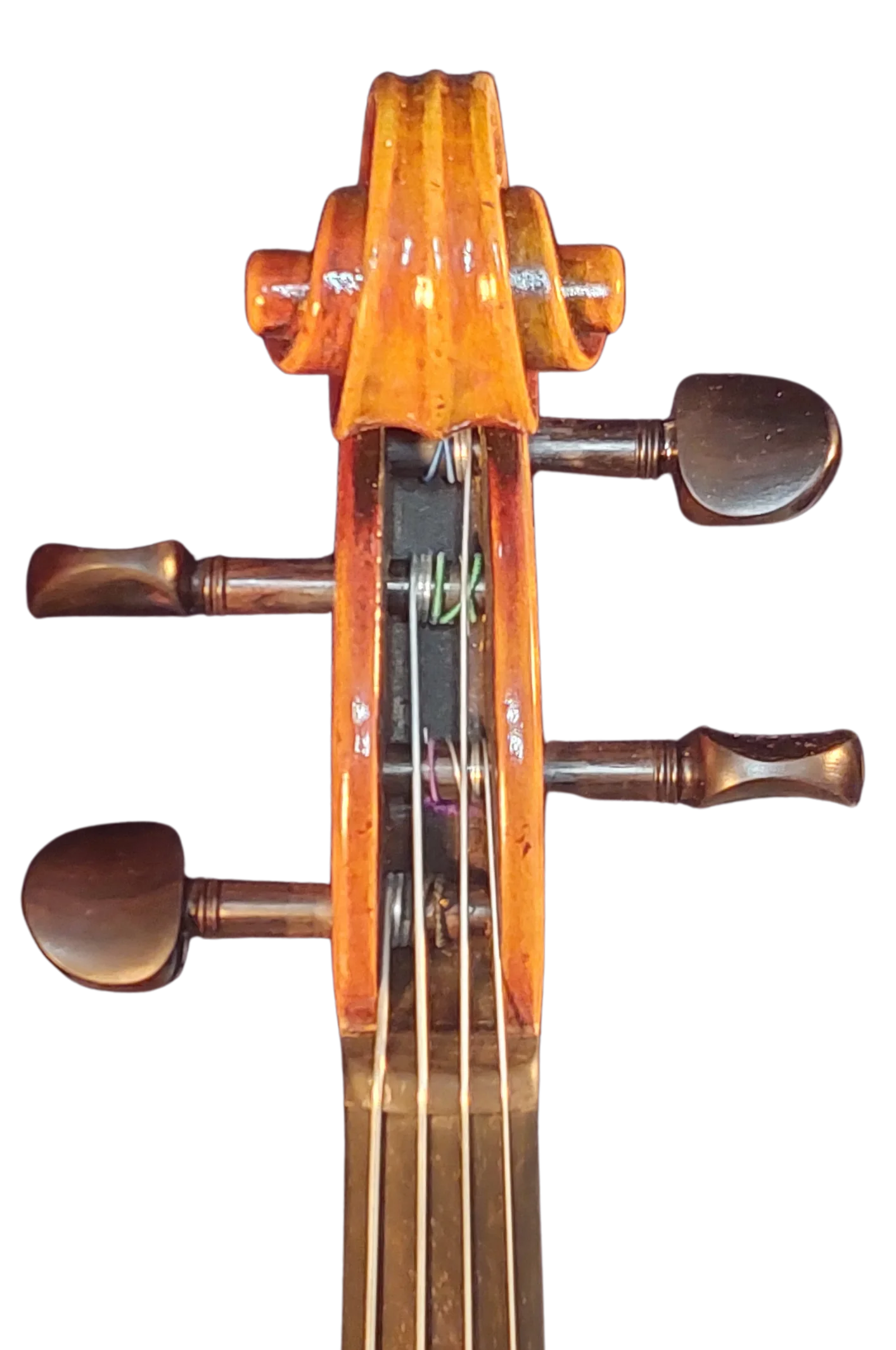 Viola Antike
