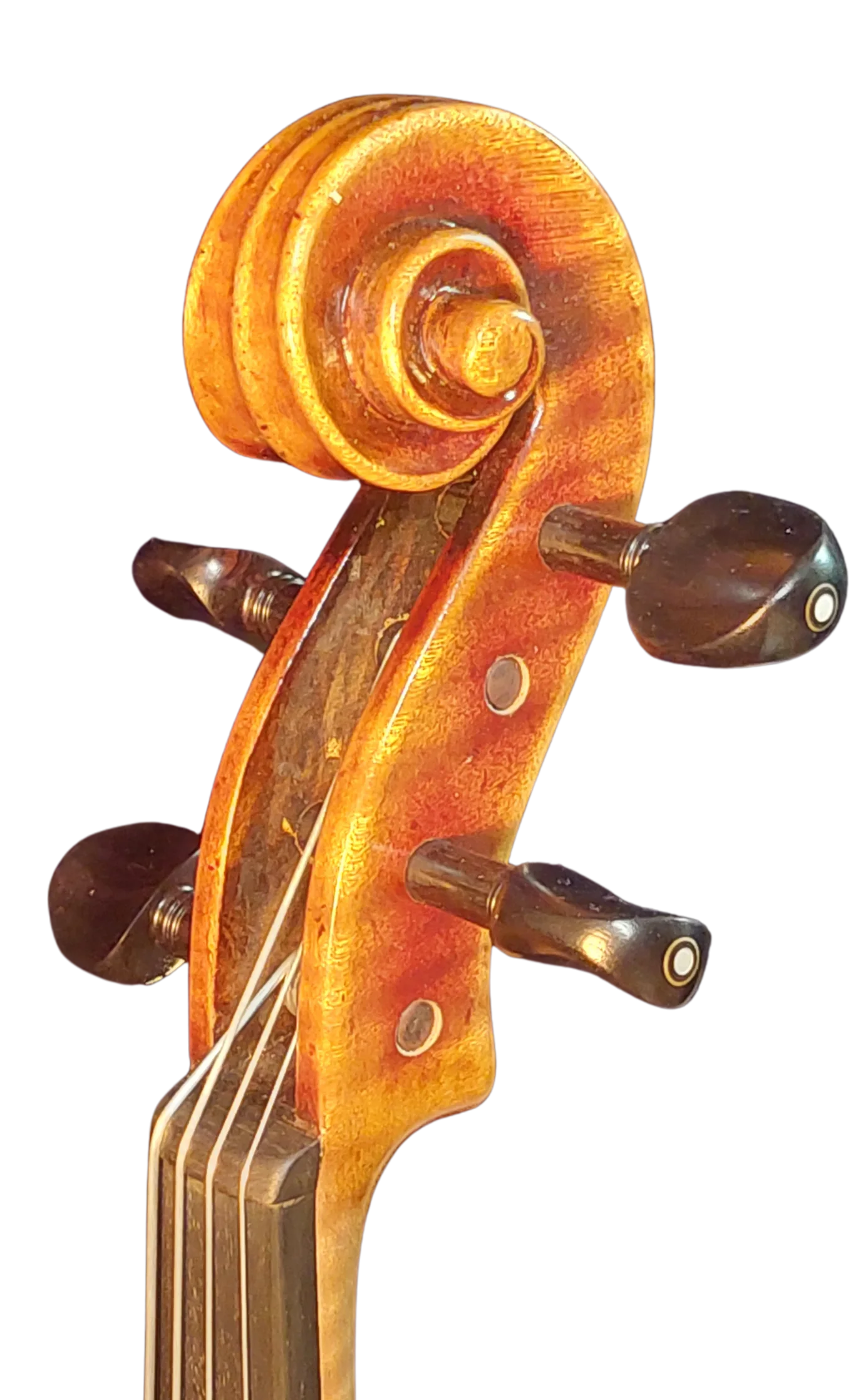 Viola Antike