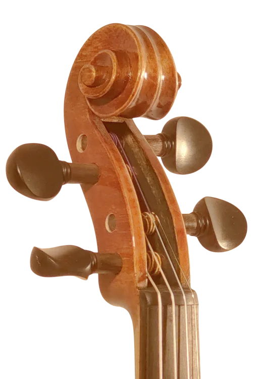 Violine 01 Set