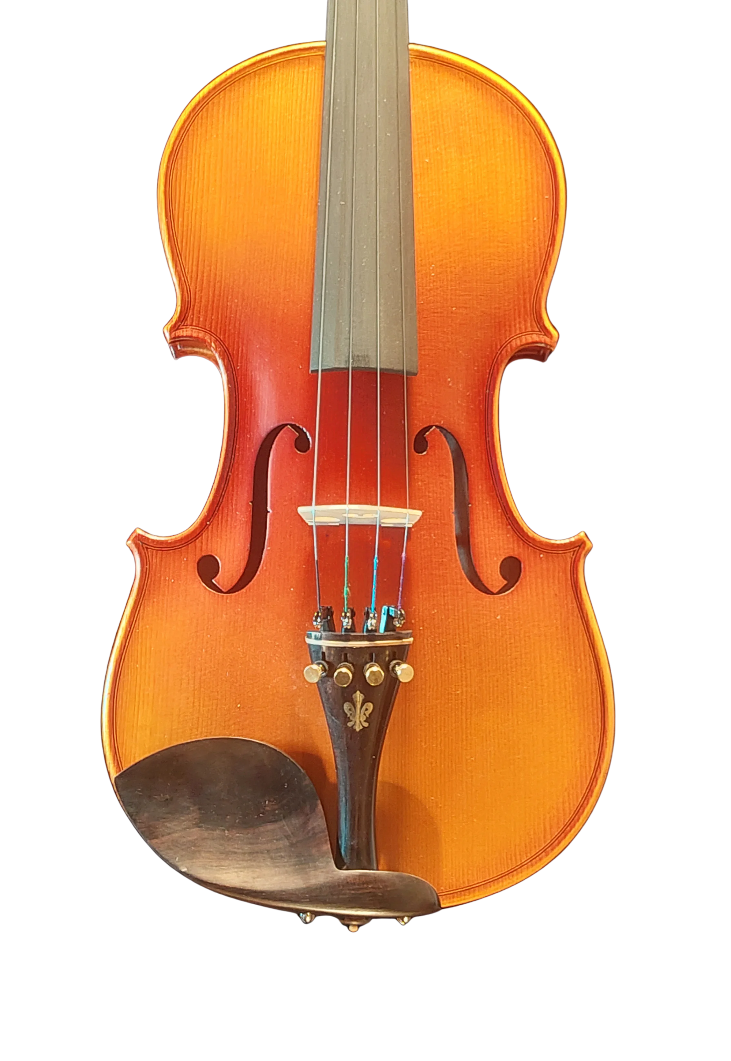 Violine Ciampino