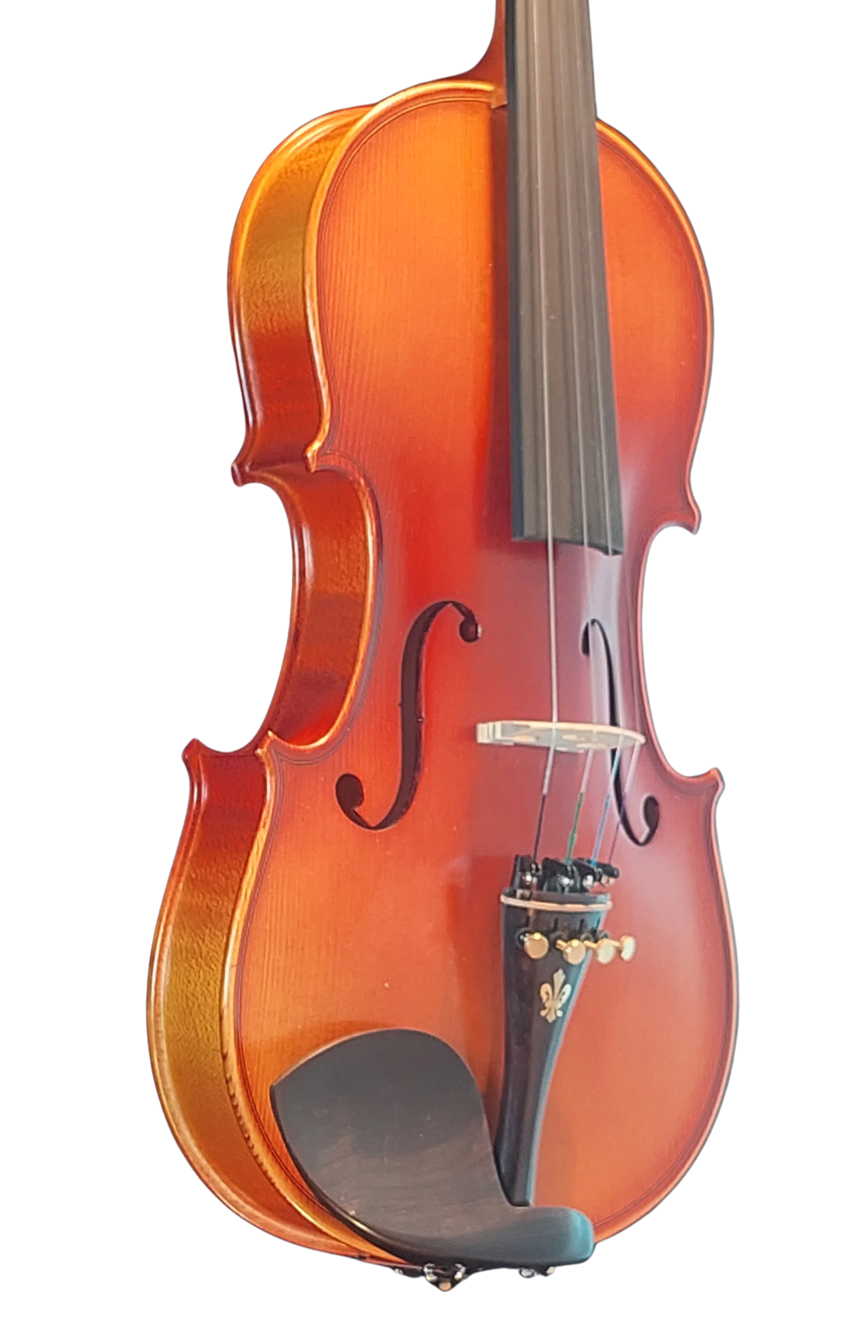 Violine Ciampino
