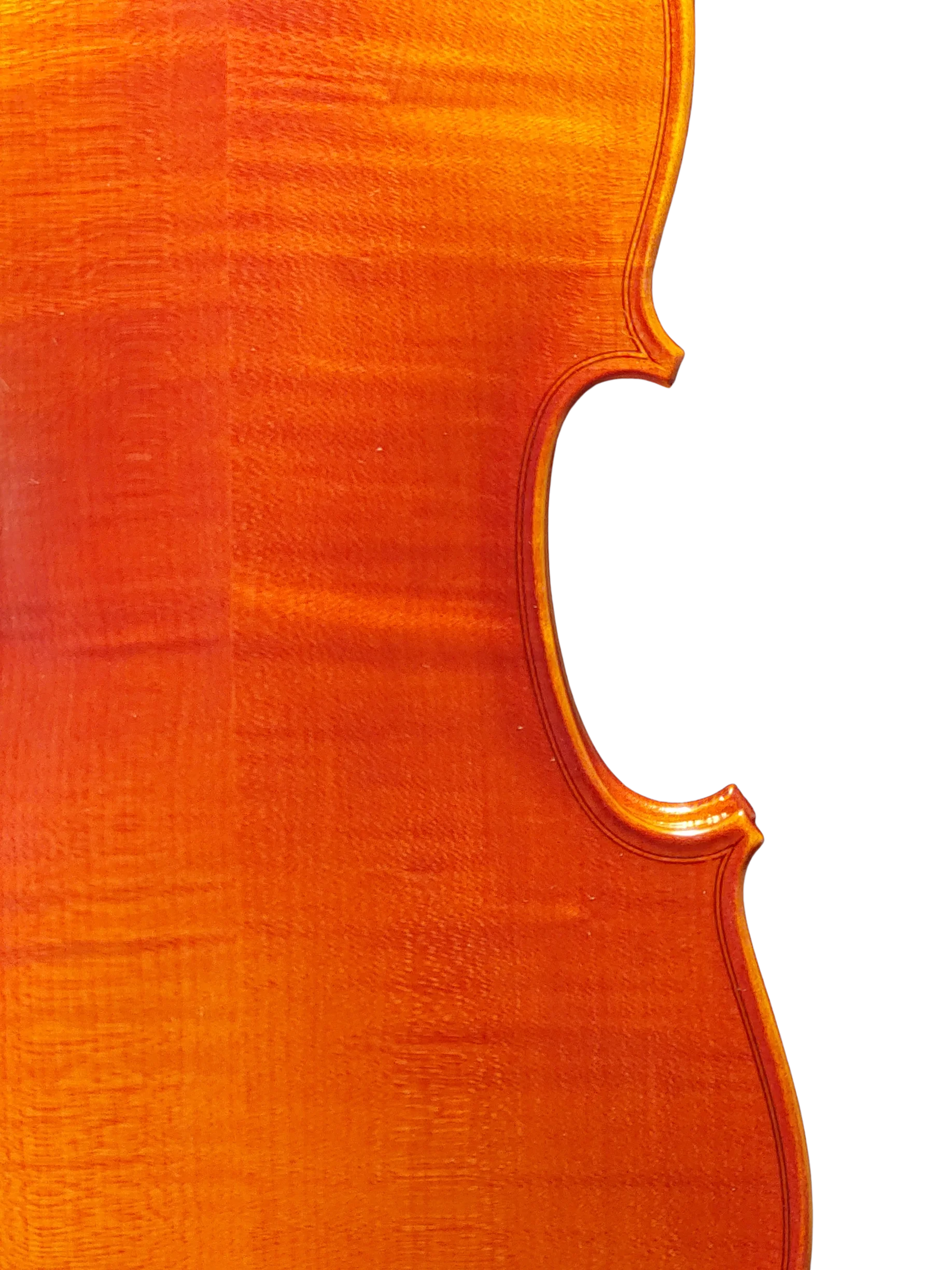 Violine Ciampino