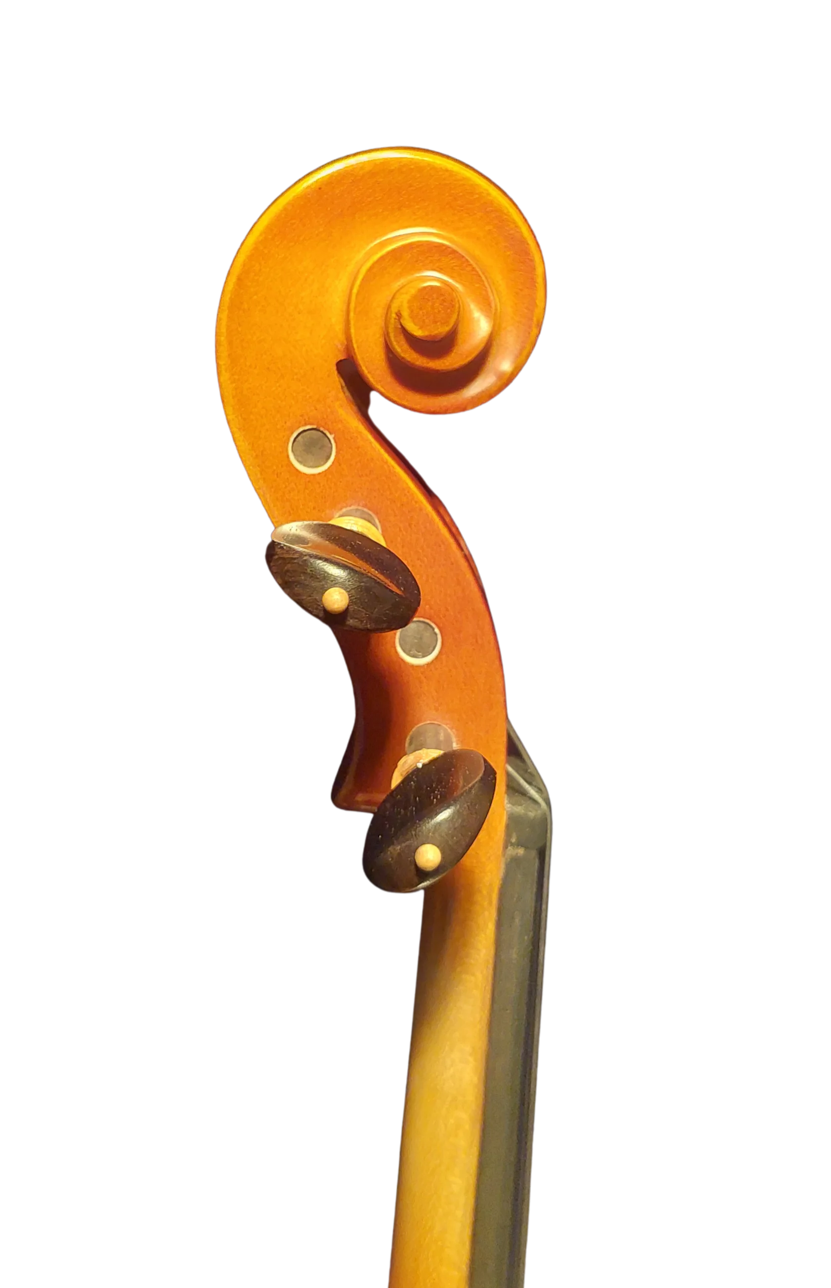 Violine Ciampino