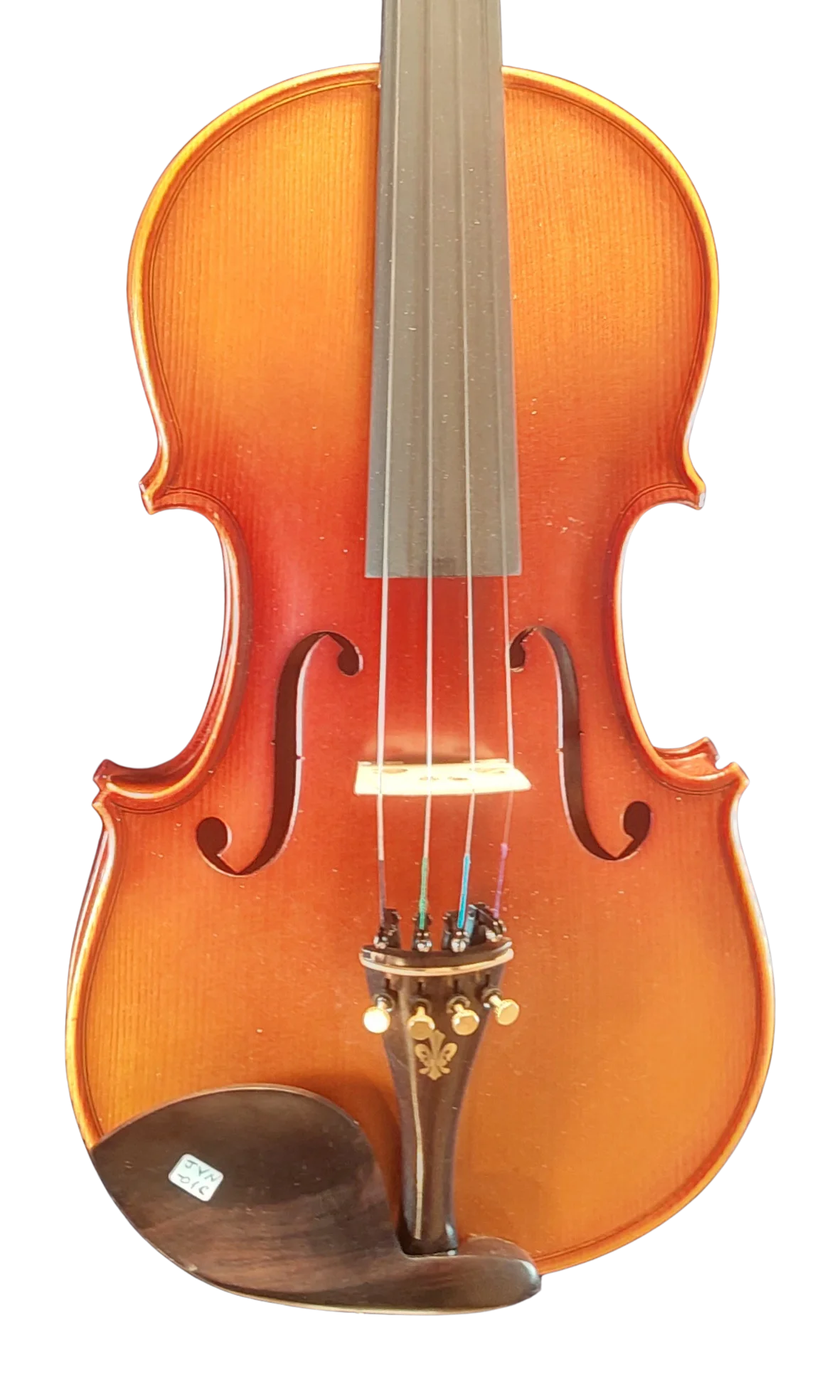 Violine Ciampino