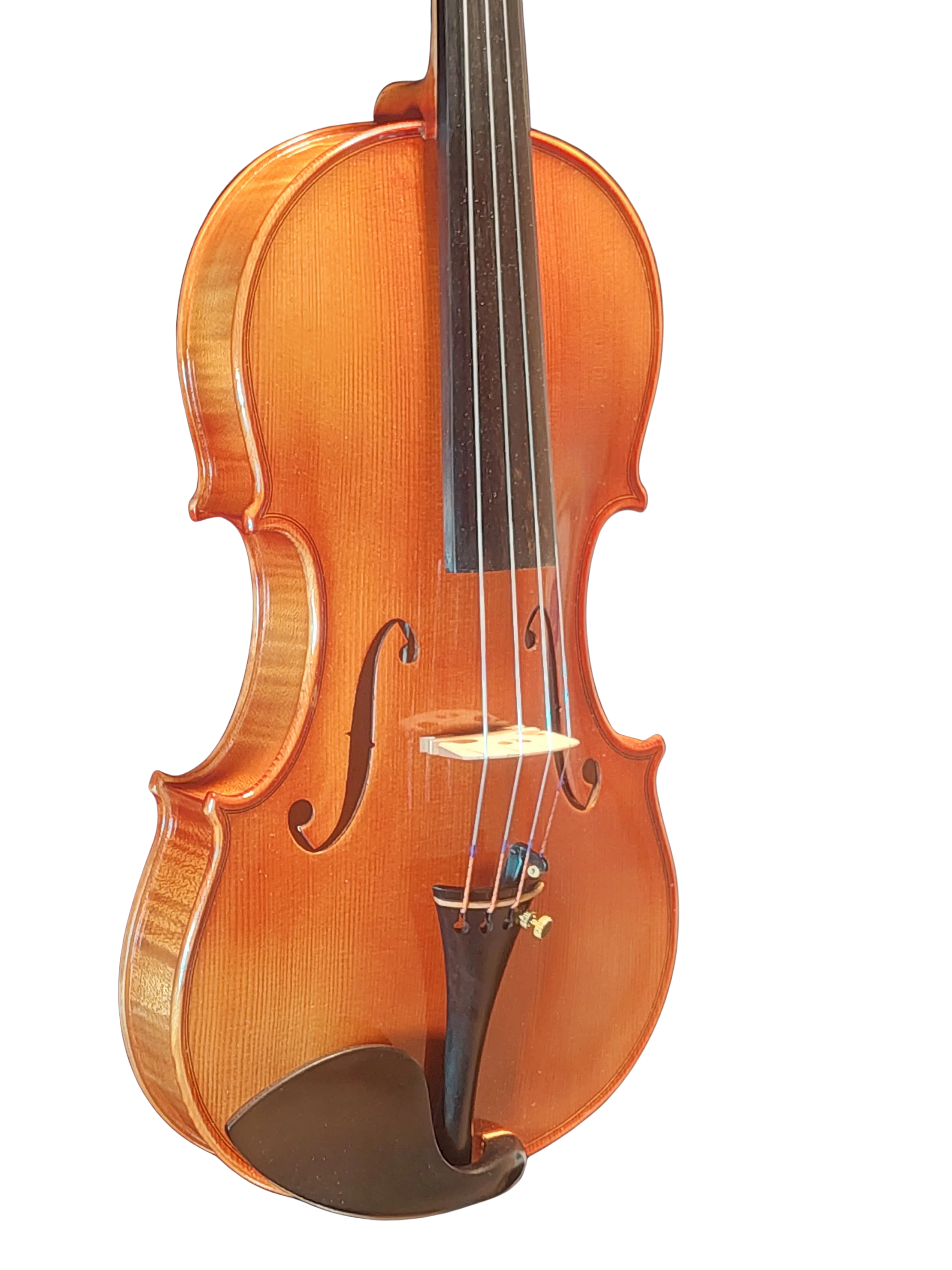 Violine Pauli