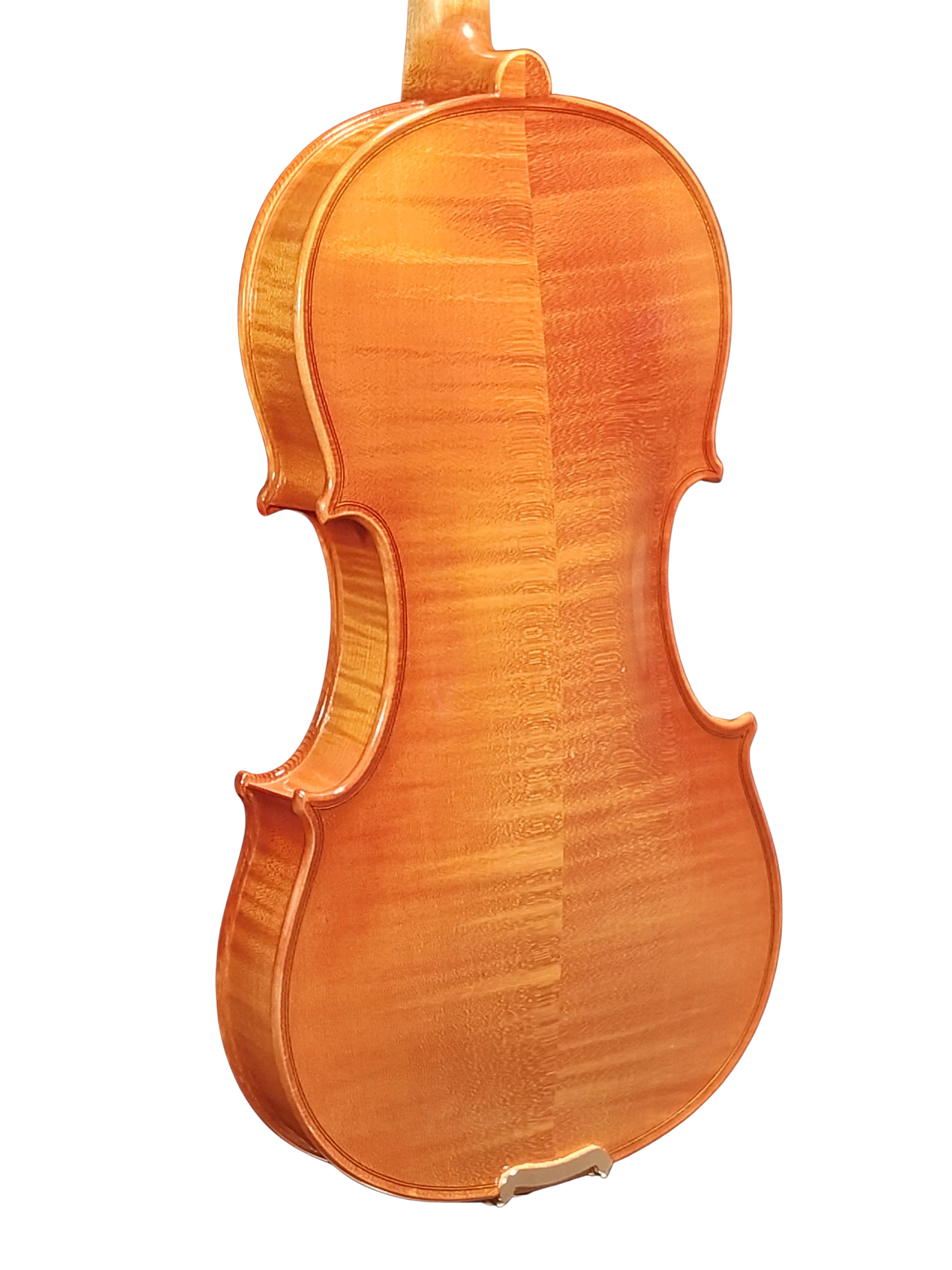 Violine Pauli