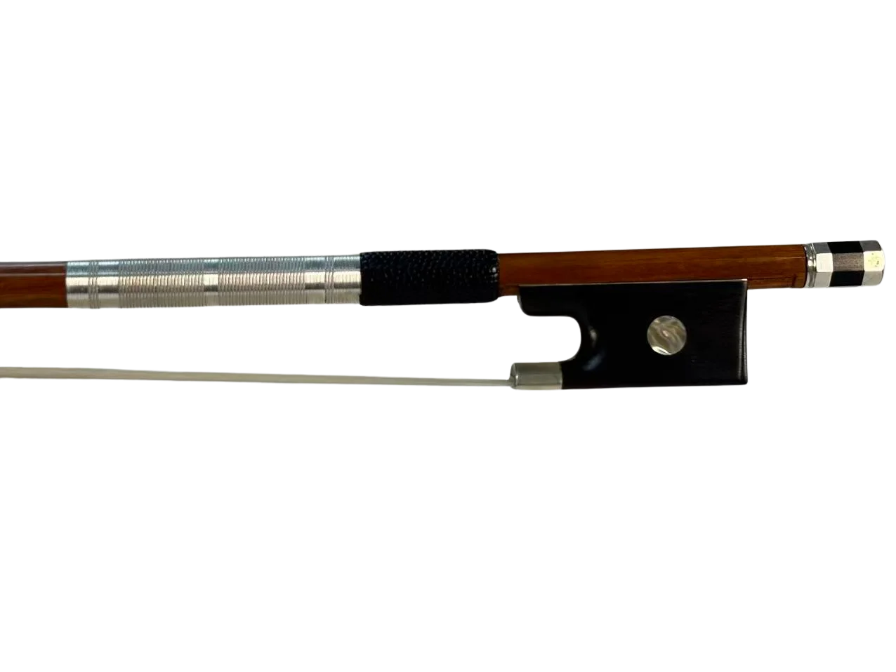Violine Bogen Malin