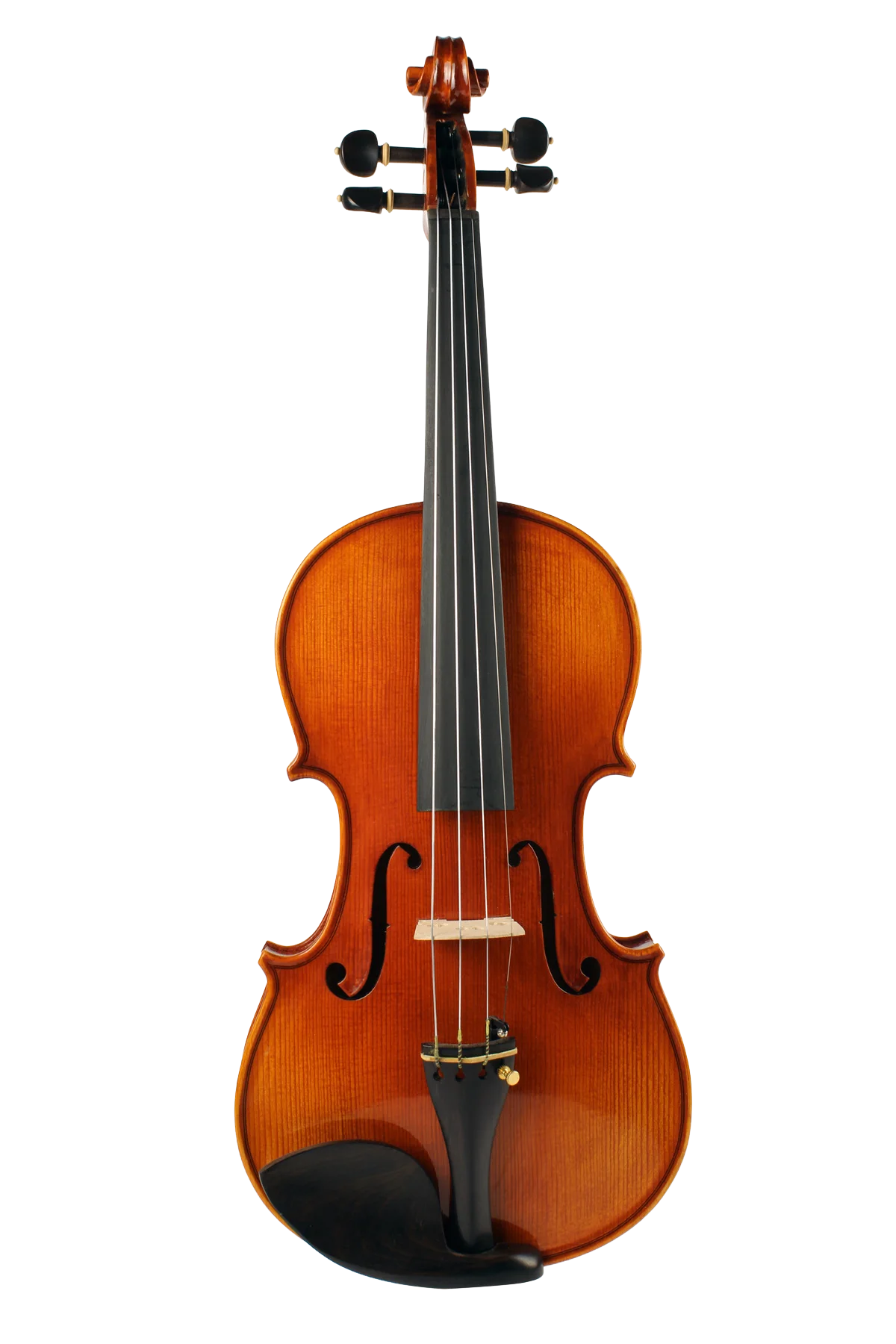 Violine Frascati