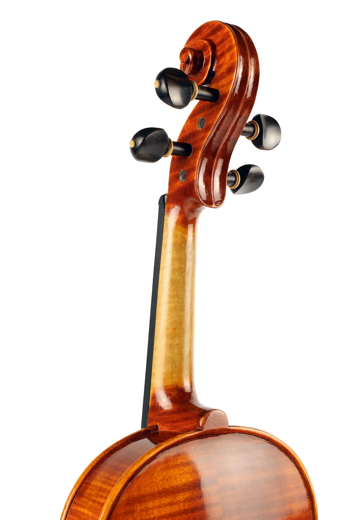 Violine Frascati