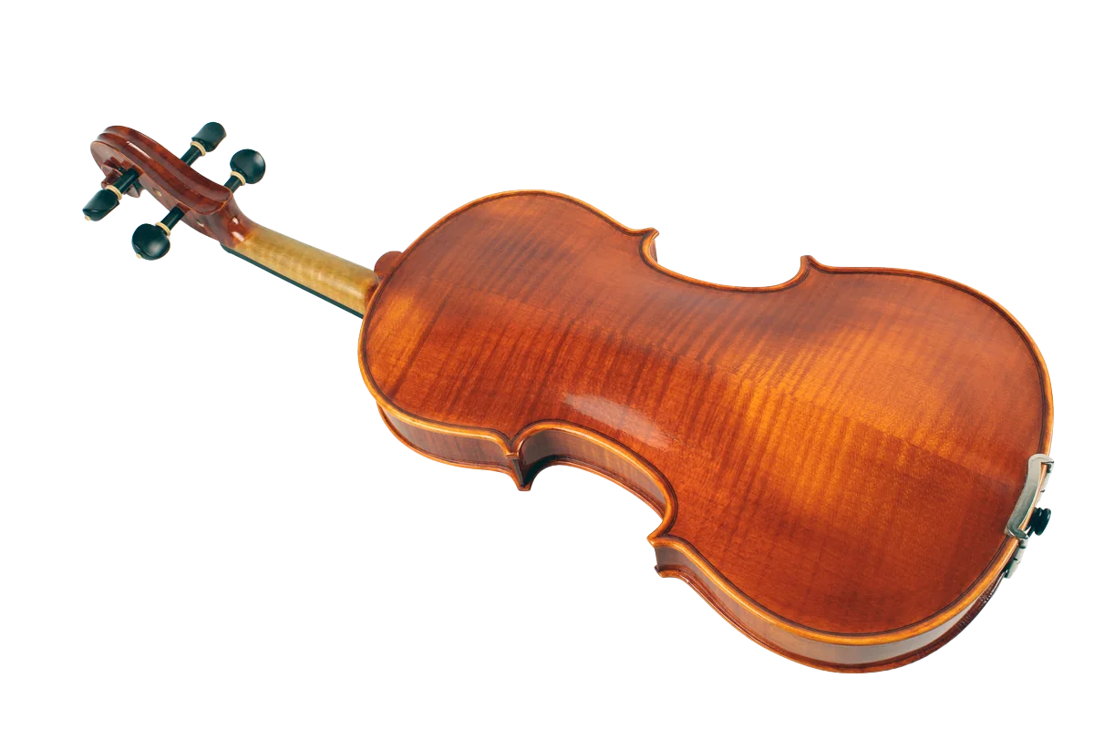 Violine Frascati