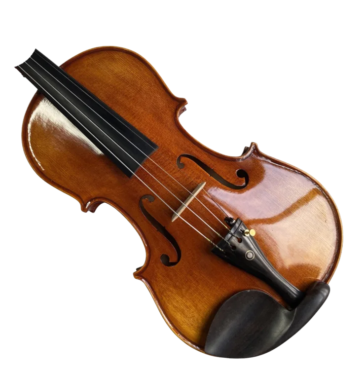 Violine Funny Sets