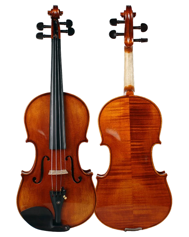 Violine Funny Sets