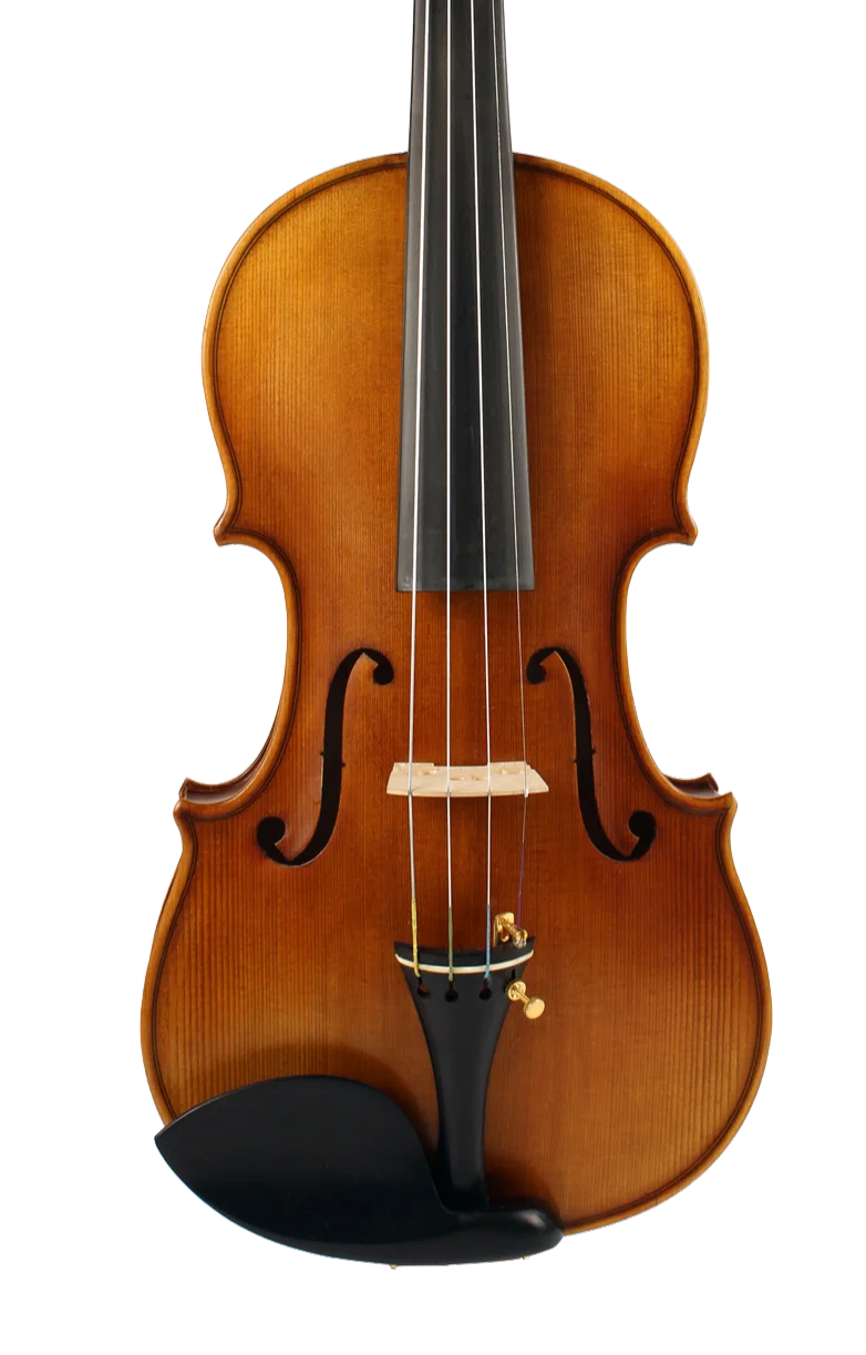 Violine Golden Musik Albano