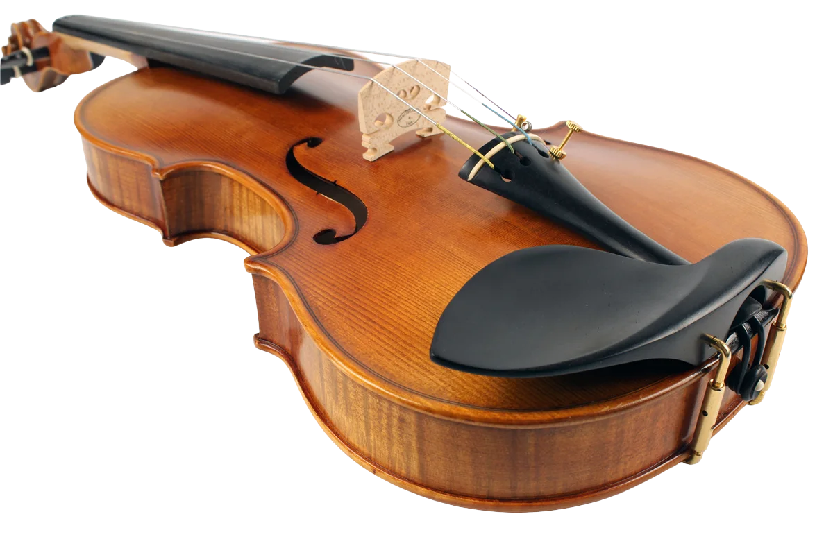 Violine Golden Musik Albano