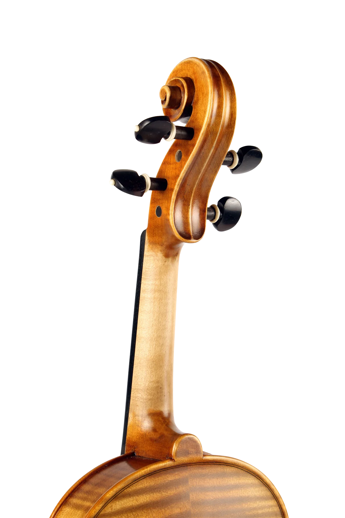 Violine Golden Musik Albano