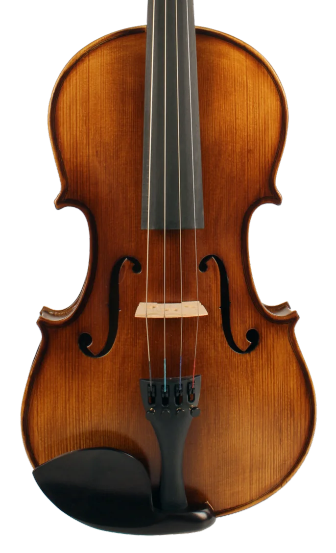 Violine Golden Musik Wonderful