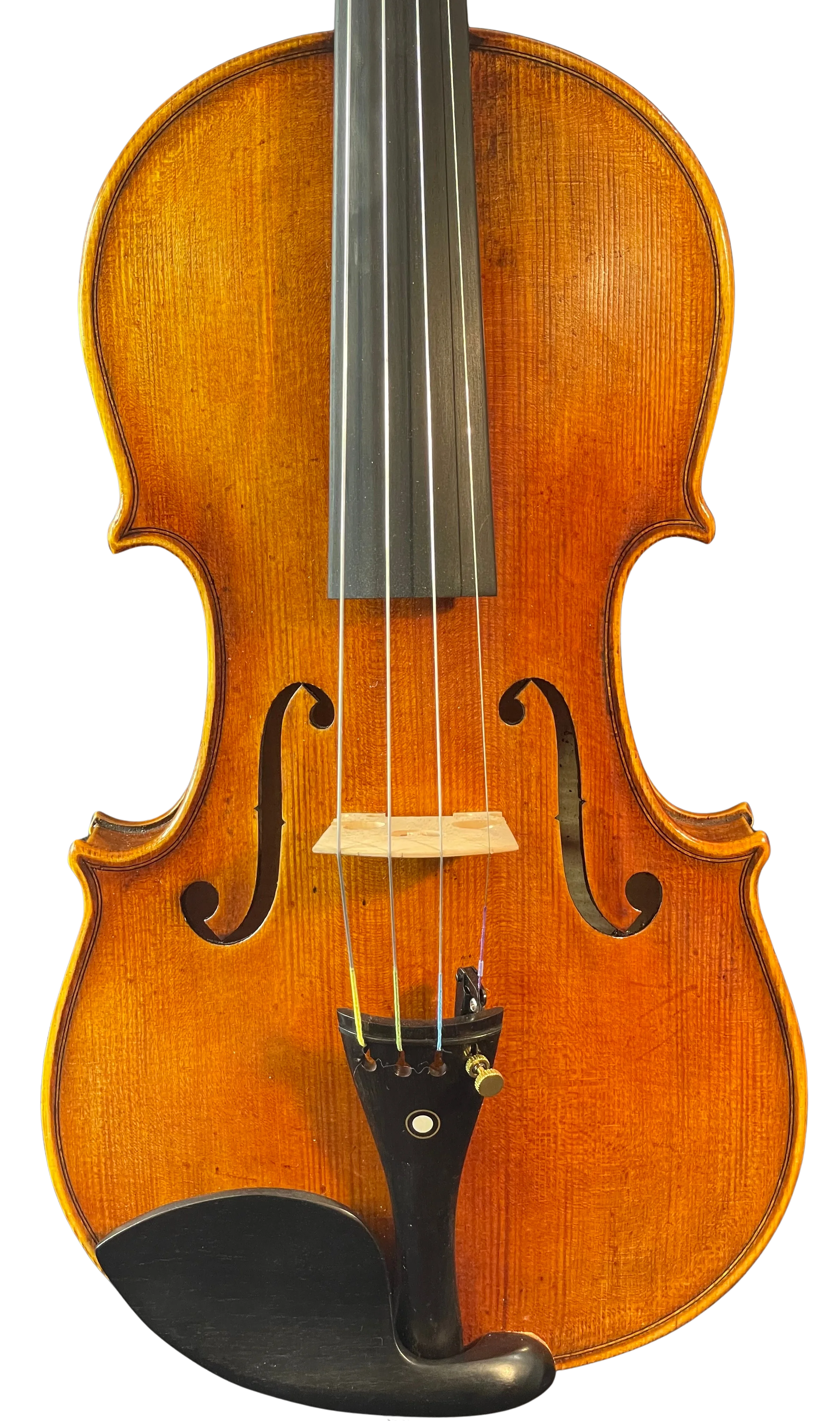 Violine Guaneri Il Canone