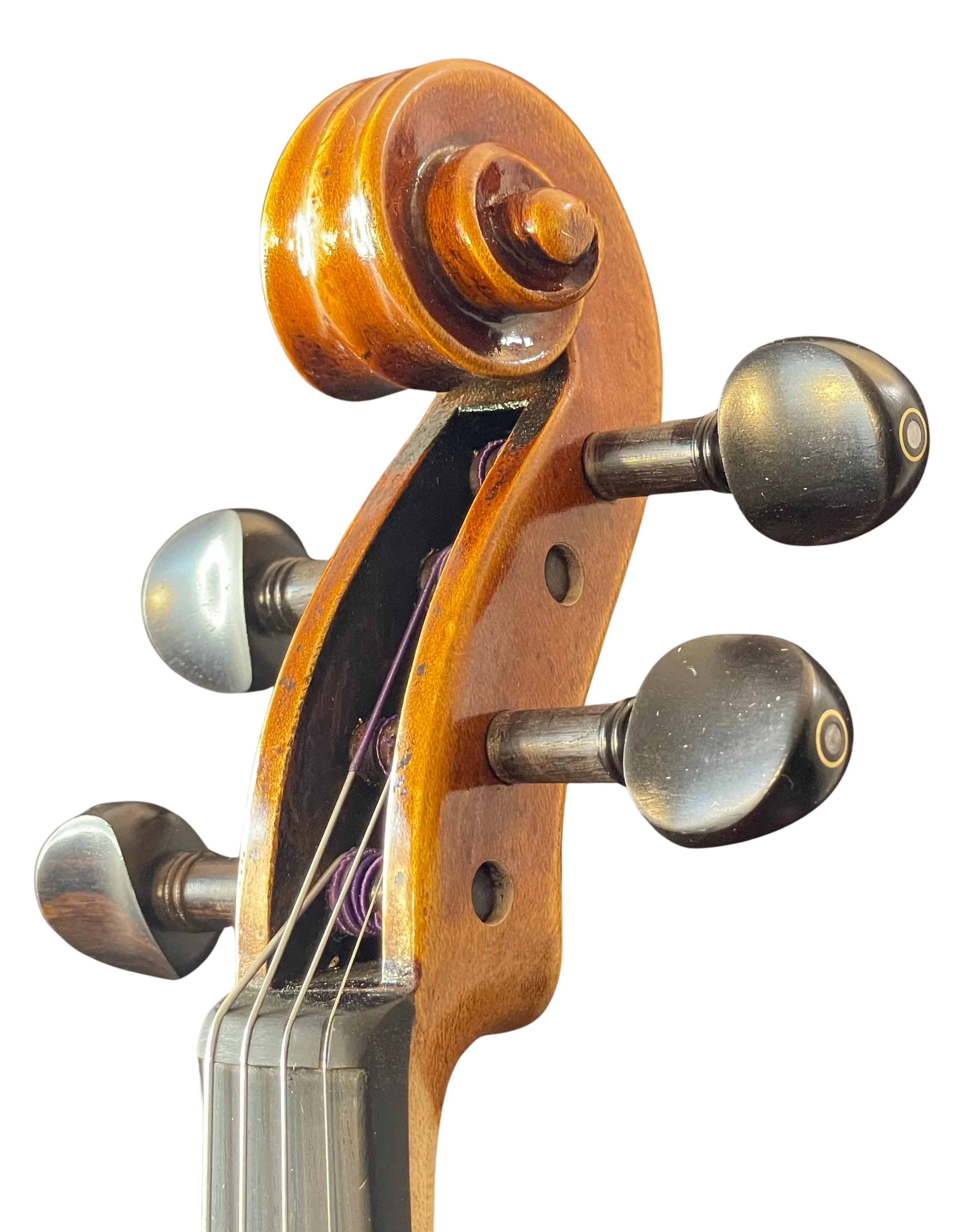 Violine Guaneri Il Canone