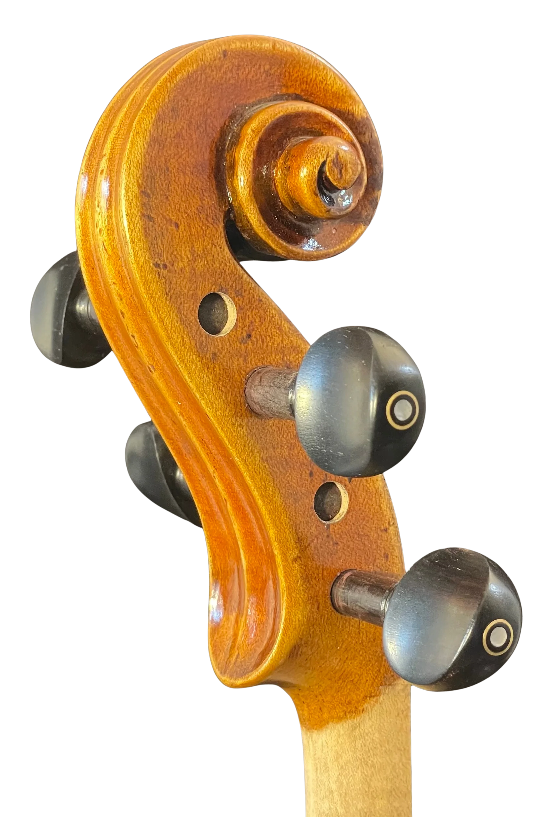 Violine Guaneri Il Canone