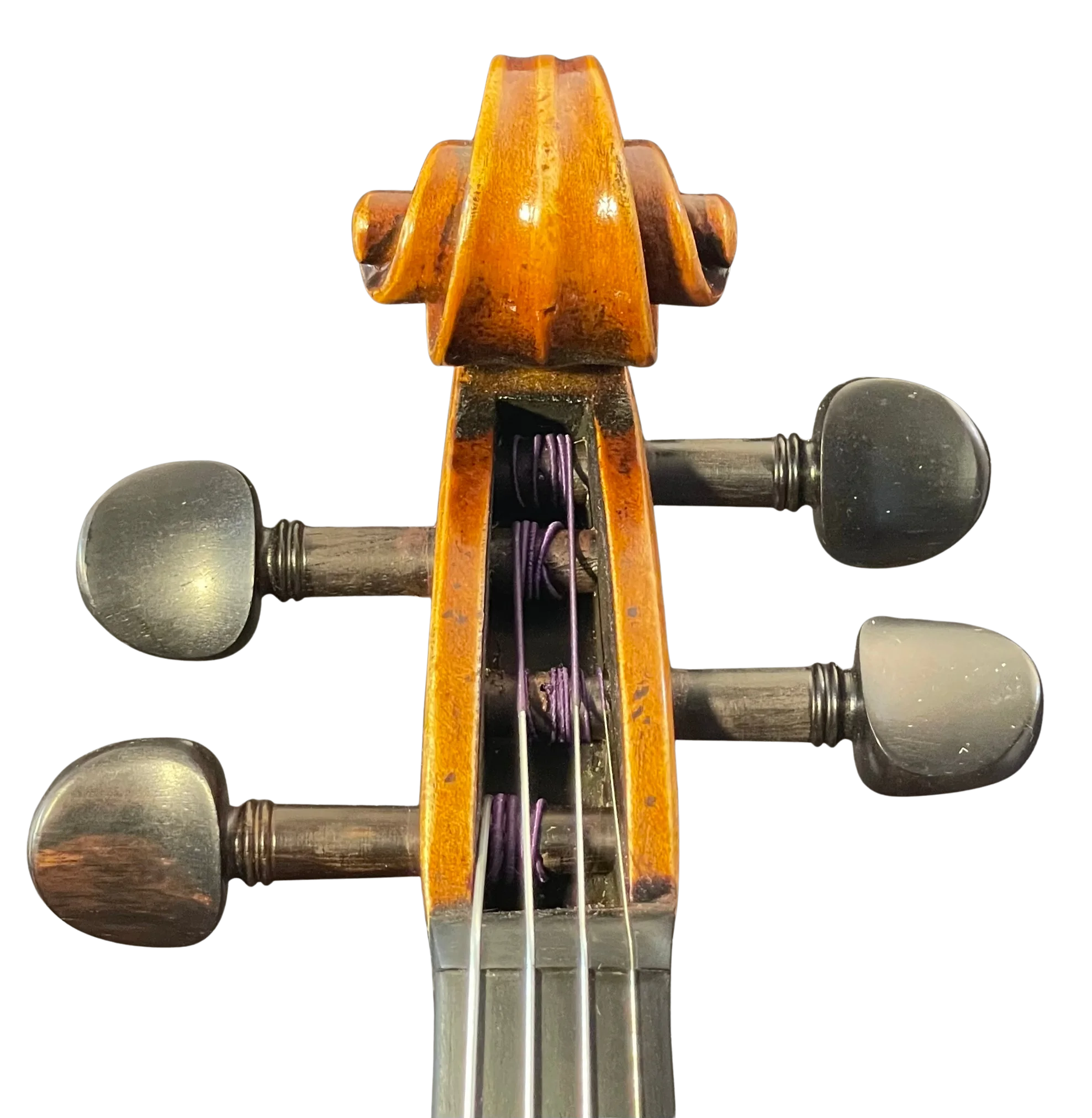 Violine Guaneri Il Canone