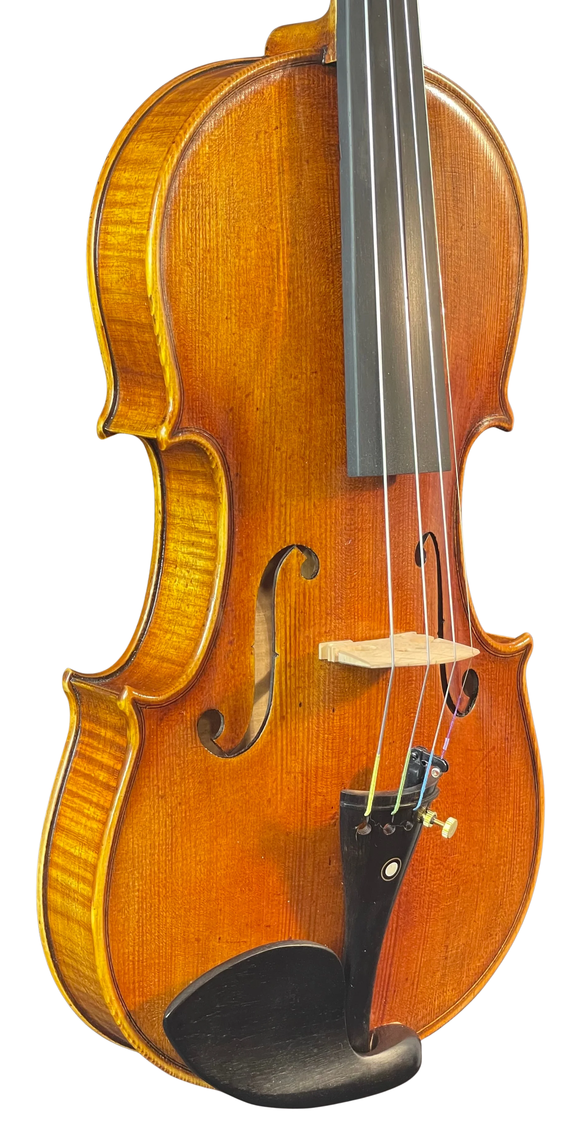 Violine Guaneri Il Canone