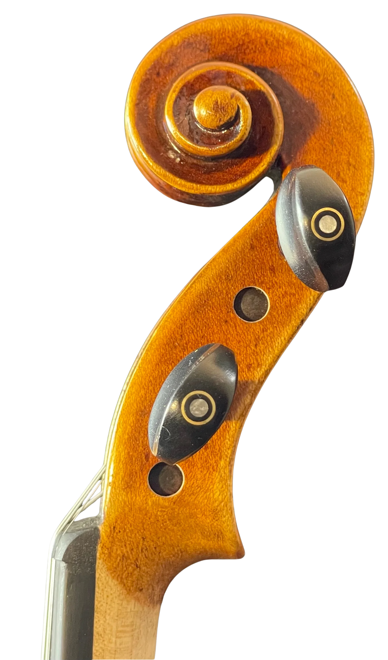 Violine Guaneri Il Canone