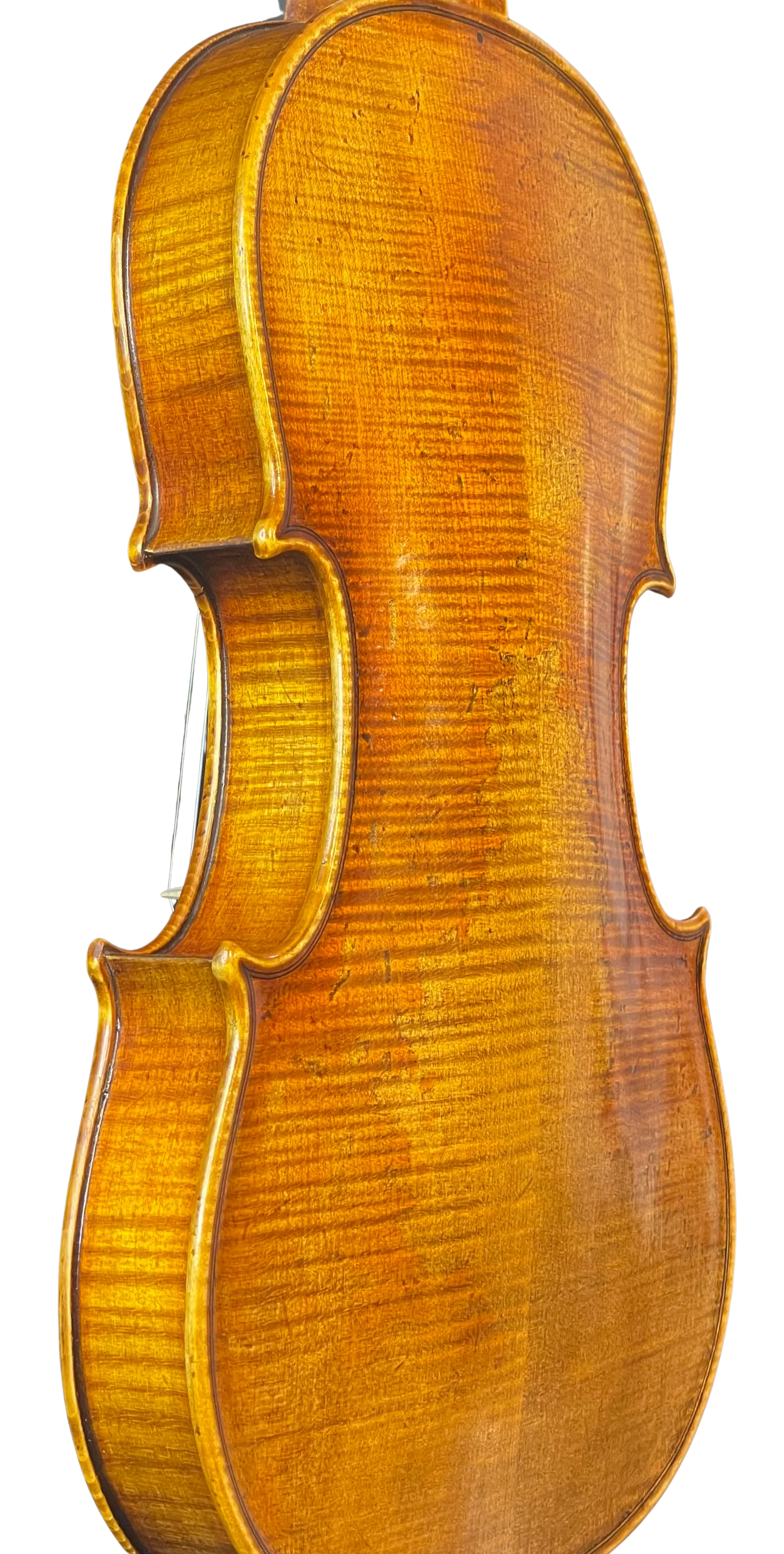 Violine Guaneri Il Canone