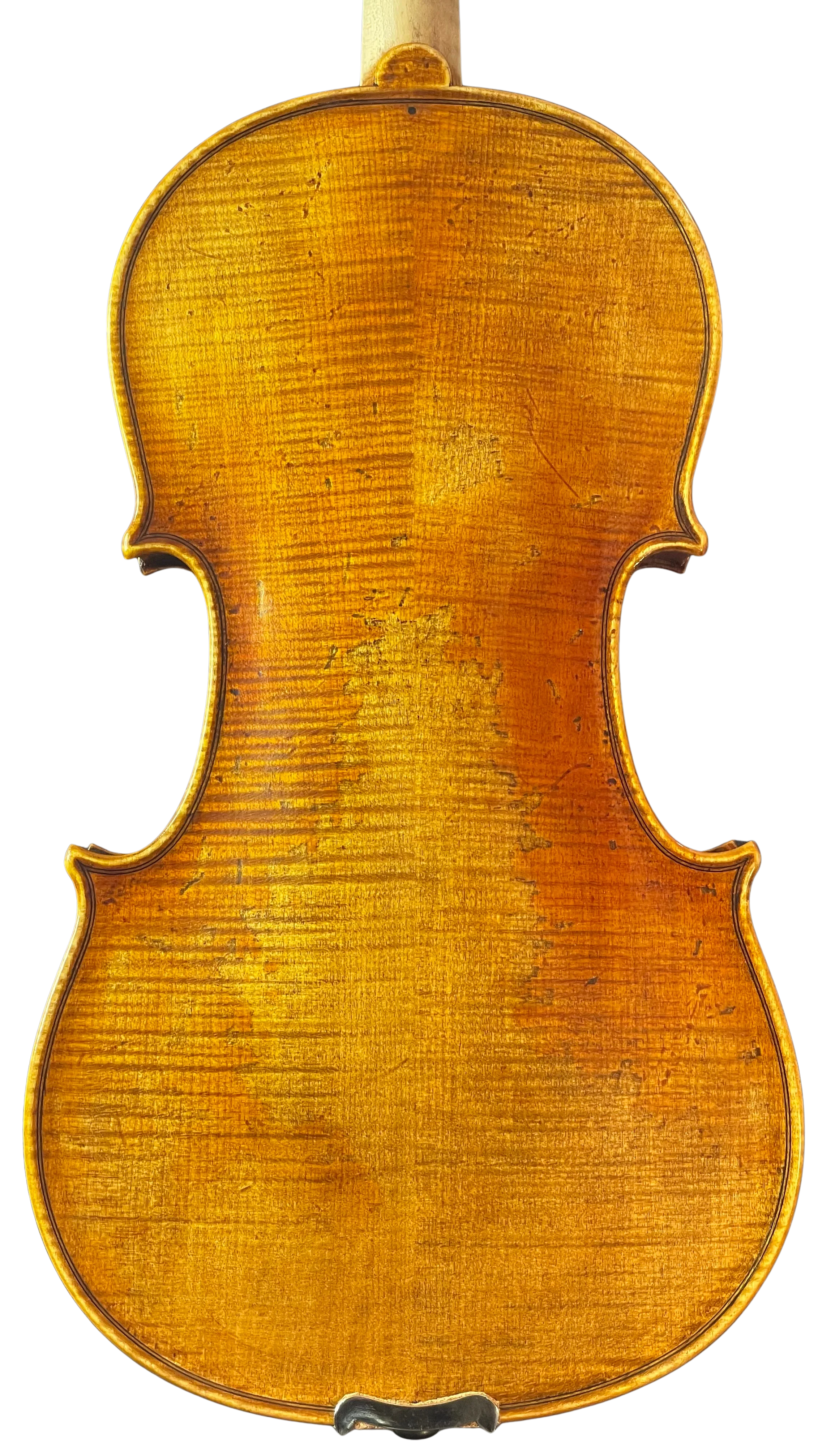 Violine Guaneri Il Canone