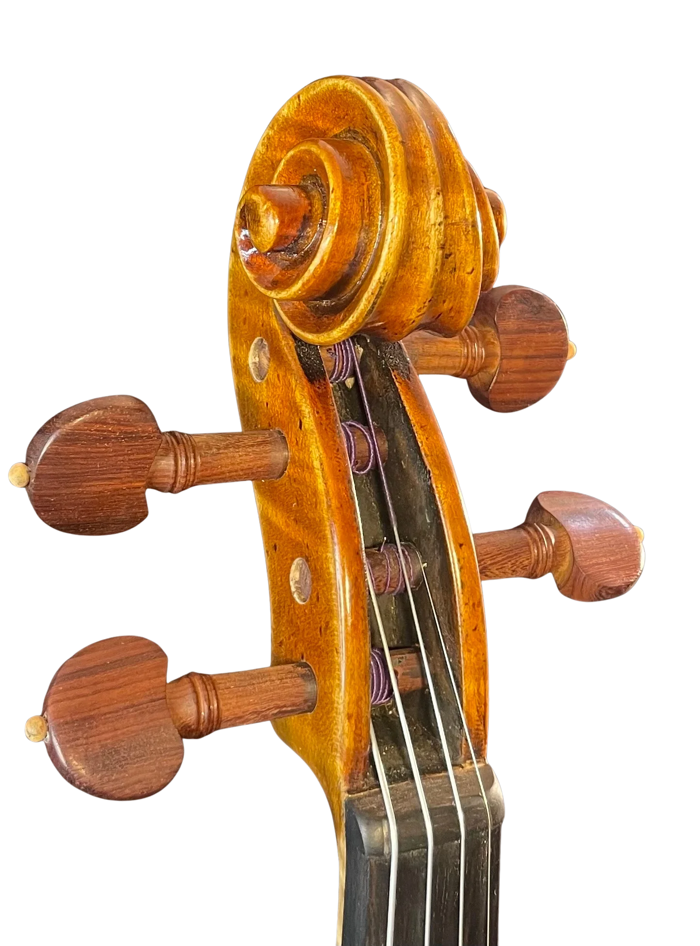 Violine Il Canone ganzer Boden