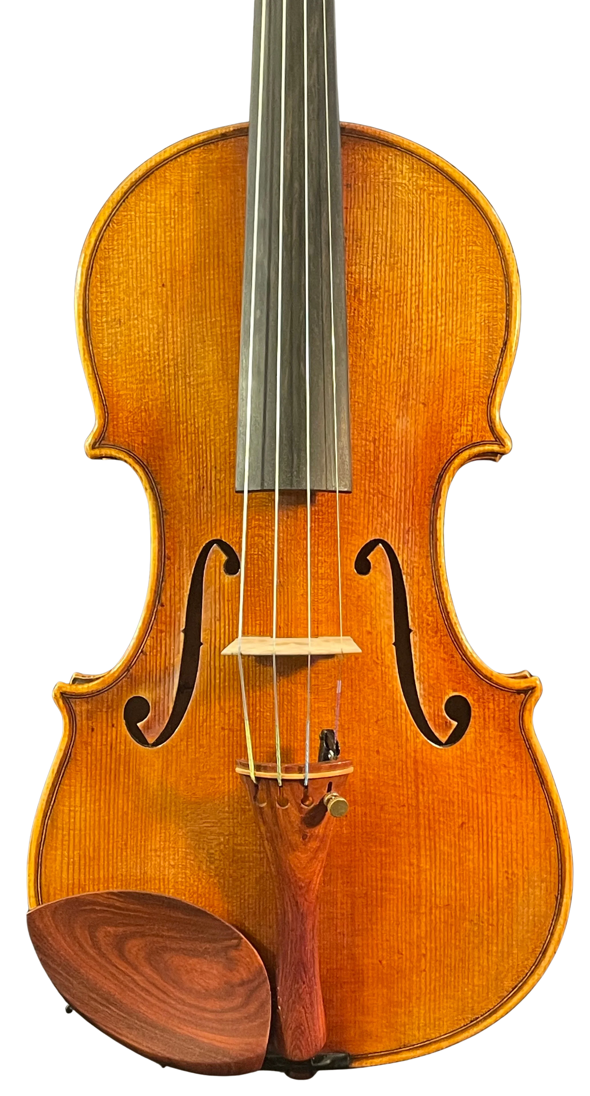 Violine Il Canone ganzer Boden