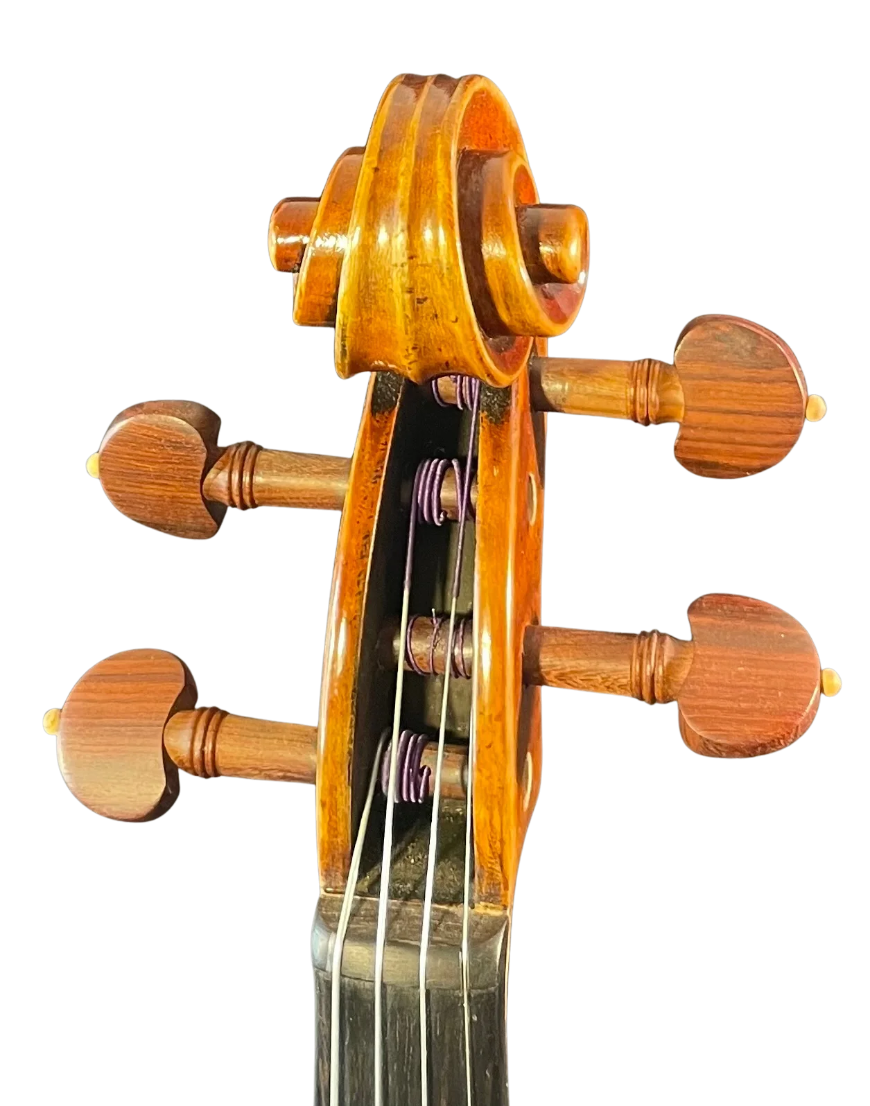 Violine Il Canone ganzer Boden