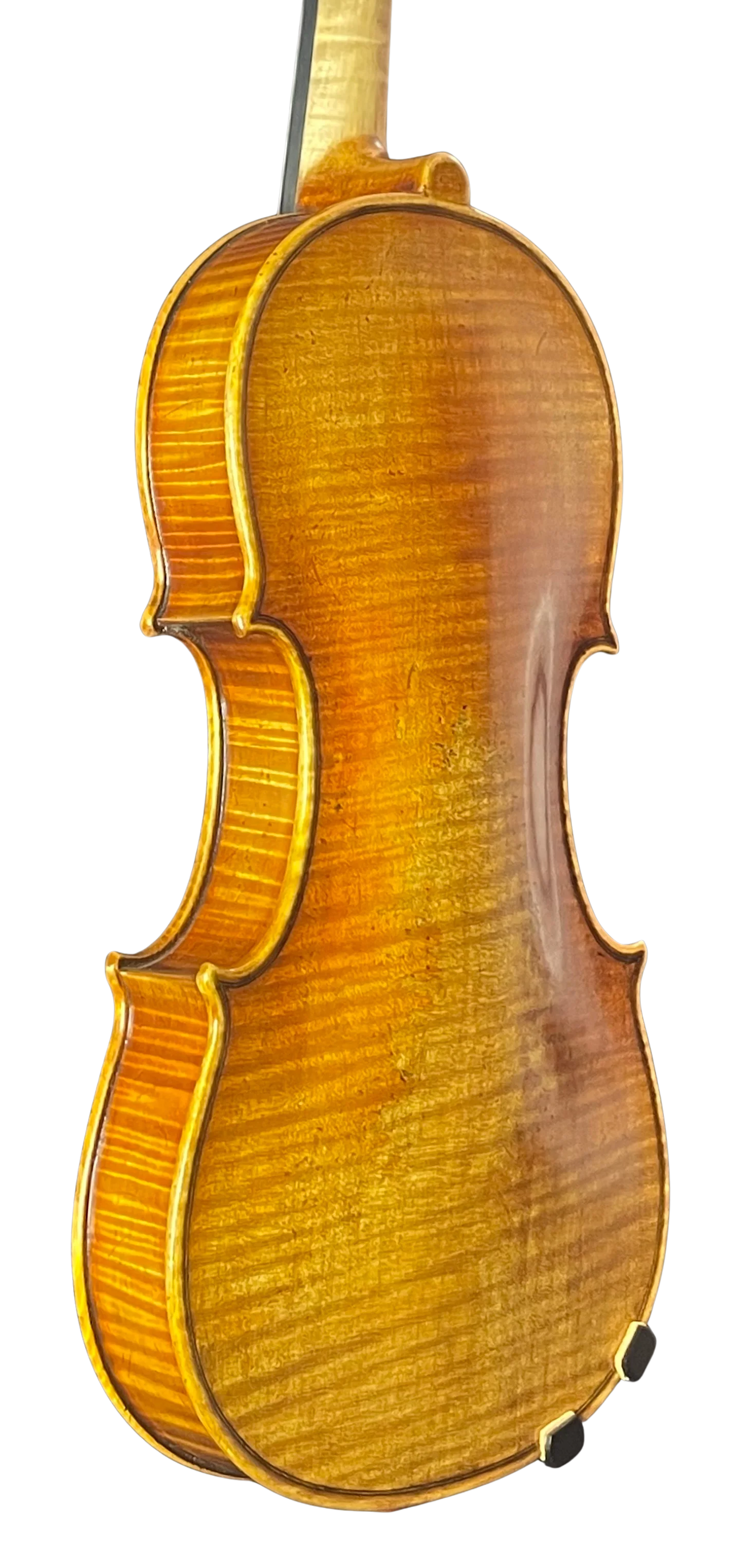 Violine Il Canone ganzer Boden